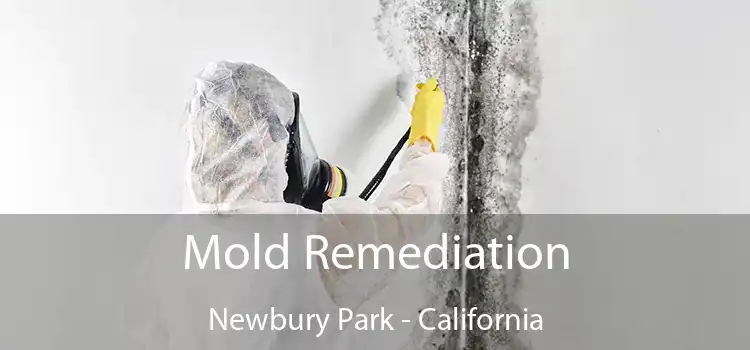 Mold Remediation Newbury Park - California