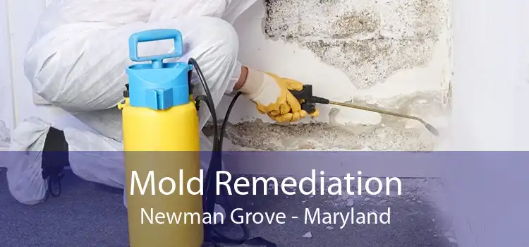 Mold Remediation Newman Grove - Maryland