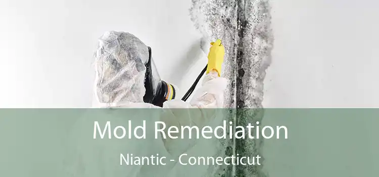 Mold Remediation Niantic - Connecticut