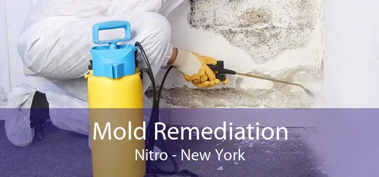 Mold Remediation Nitro - New York