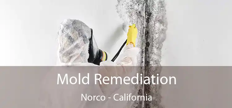 Mold Remediation Norco - California