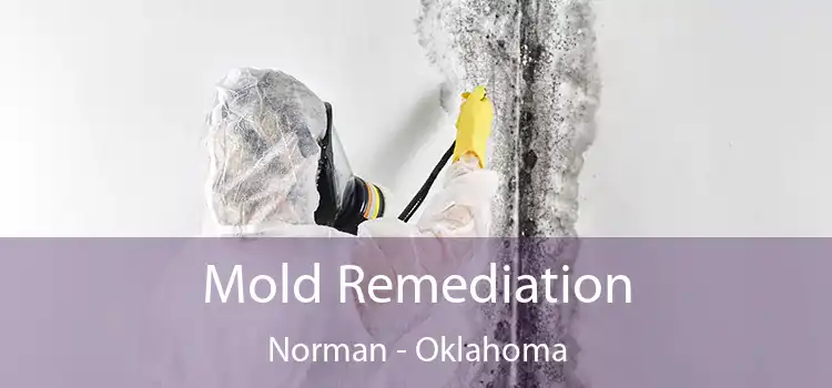 Mold Remediation Norman - Oklahoma