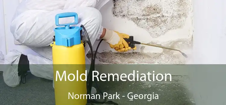 Mold Remediation Norman Park - Georgia