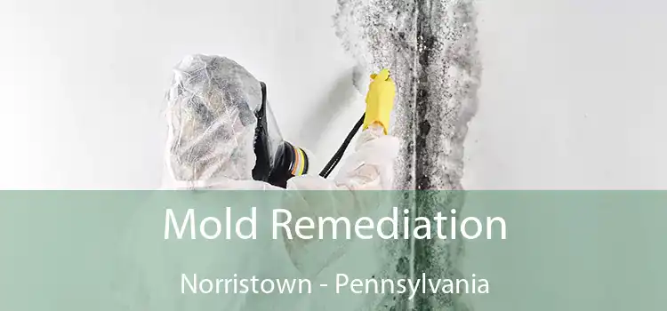 Mold Remediation Norristown - Pennsylvania