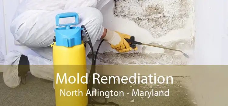 Mold Remediation North Arlington - Maryland