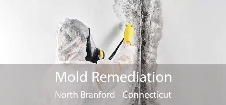 Mold Remediation North Branford - Connecticut