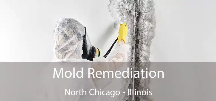 Mold Remediation North Chicago - Illinois