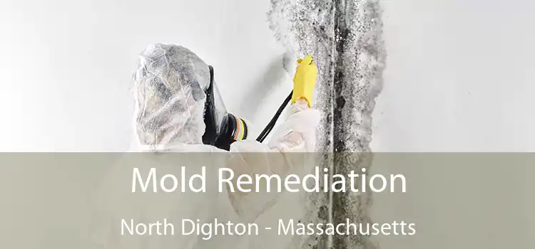 Mold Remediation North Dighton - Massachusetts