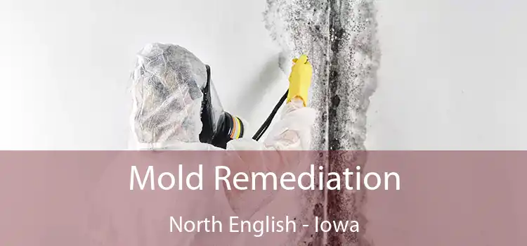 Mold Remediation North English - Iowa