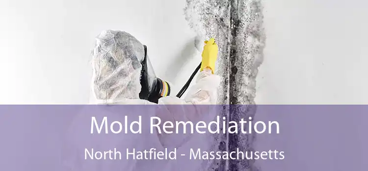 Mold Remediation North Hatfield - Massachusetts