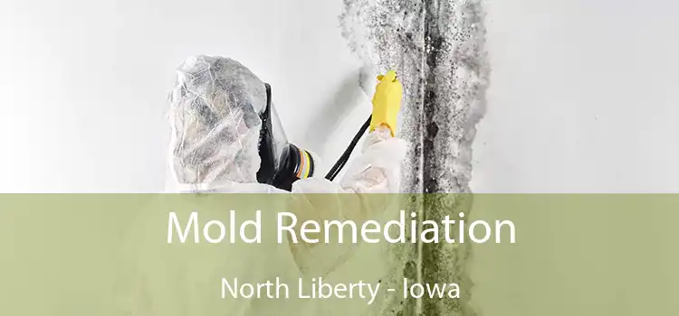 Mold Remediation North Liberty - Iowa