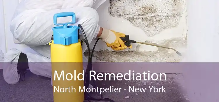 Mold Remediation North Montpelier - New York