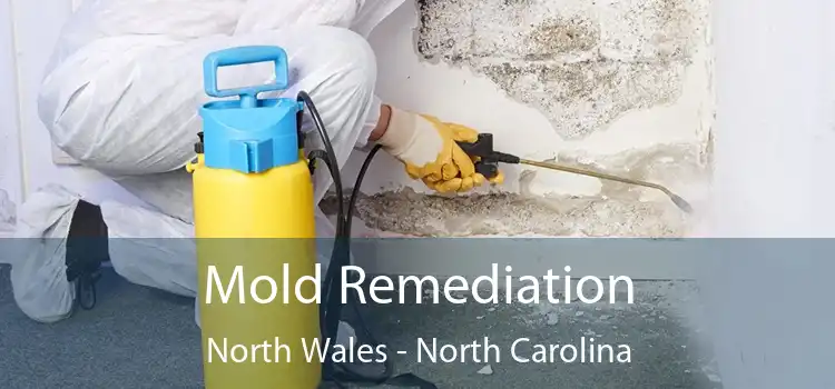 Mold Remediation North Wales - North Carolina