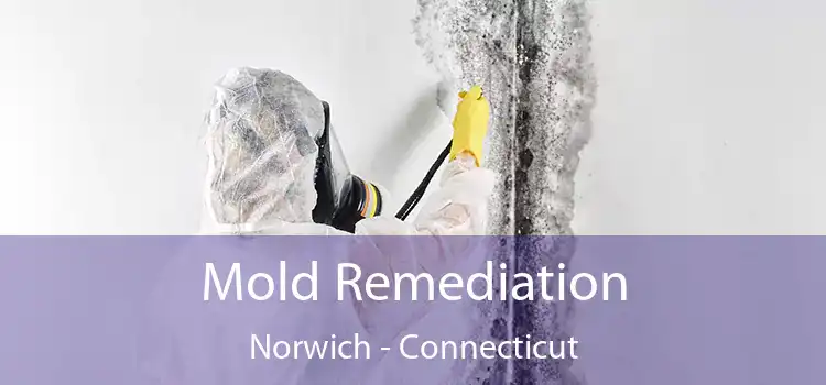 Mold Remediation Norwich - Connecticut