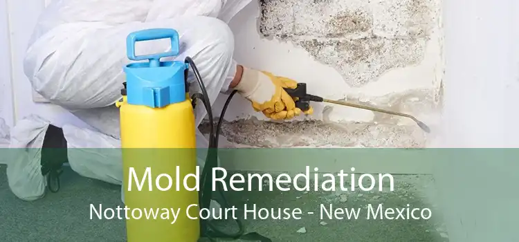 Mold Remediation Nottoway Court House - New Mexico