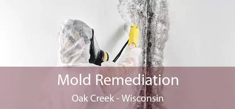 Mold Remediation Oak Creek - Wisconsin