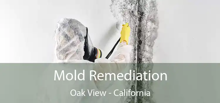 Mold Remediation Oak View - California