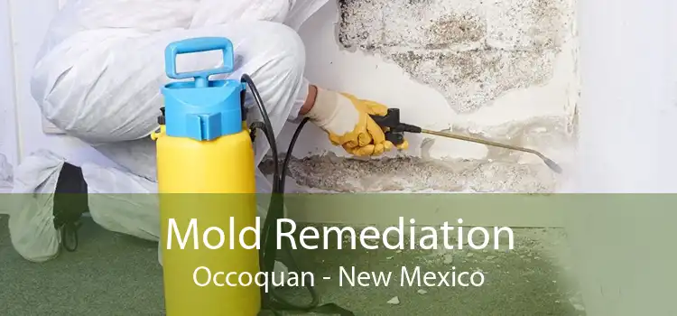 Mold Remediation Occoquan - New Mexico