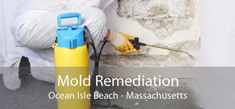 Mold Remediation Ocean Isle Beach - Massachusetts