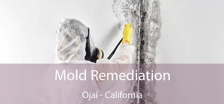 Mold Remediation Ojai - California