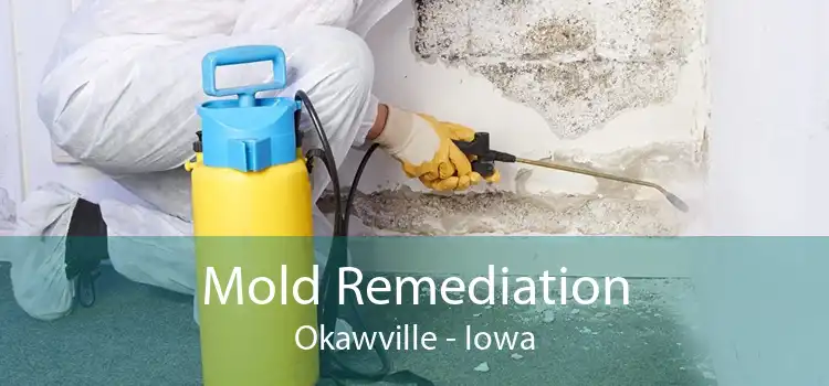 Mold Remediation Okawville - Iowa