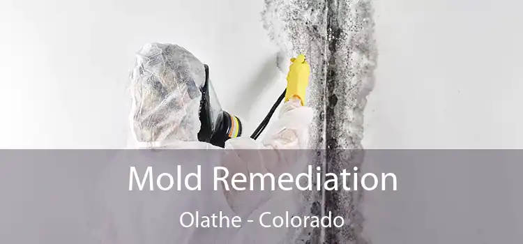 Mold Remediation Olathe - Colorado