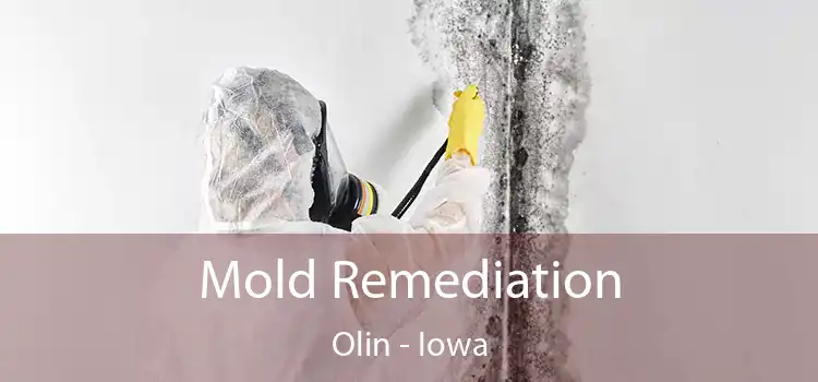 Mold Remediation Olin - Iowa