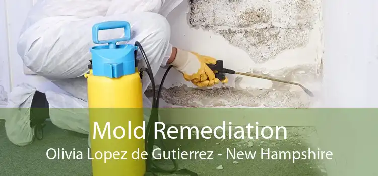 Mold Remediation Olivia Lopez de Gutierrez - New Hampshire