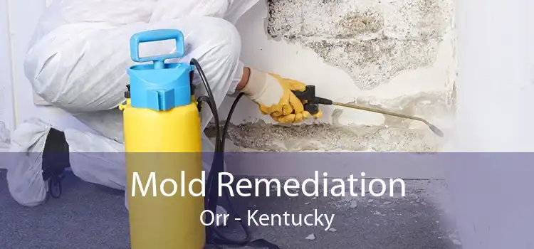 Mold Remediation Orr - Kentucky