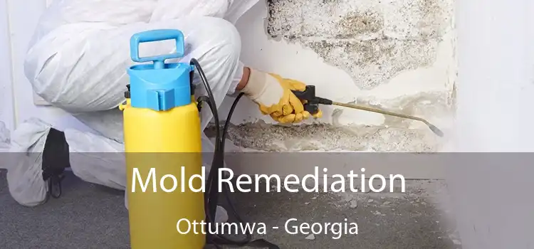 Mold Remediation Ottumwa - Georgia