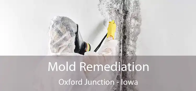 Mold Remediation Oxford Junction - Iowa