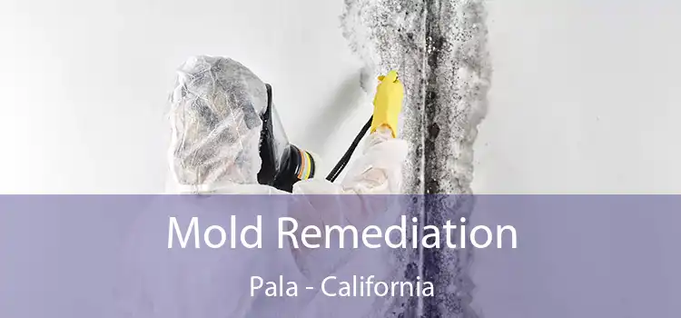 Mold Remediation Pala - California