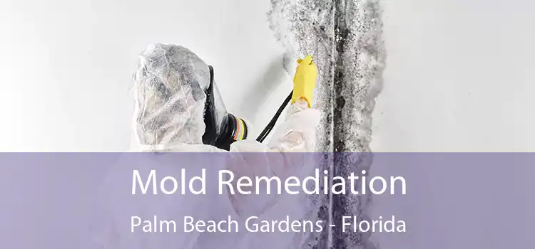 Mold Remediation Palm Beach Gardens - Florida