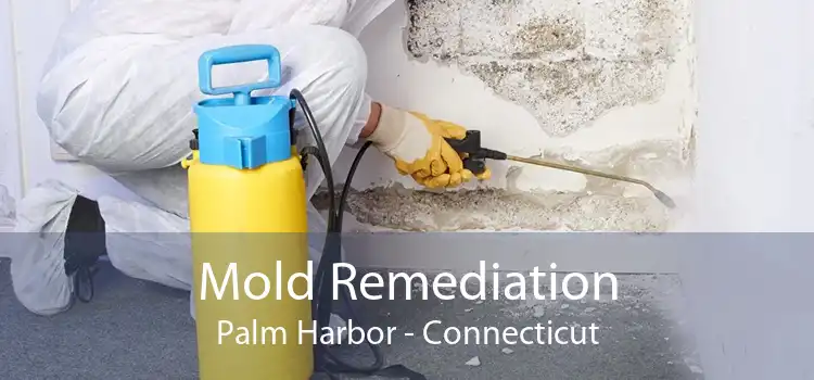 Mold Remediation Palm Harbor - Connecticut