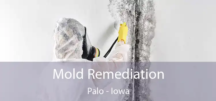 Mold Remediation Palo - Iowa