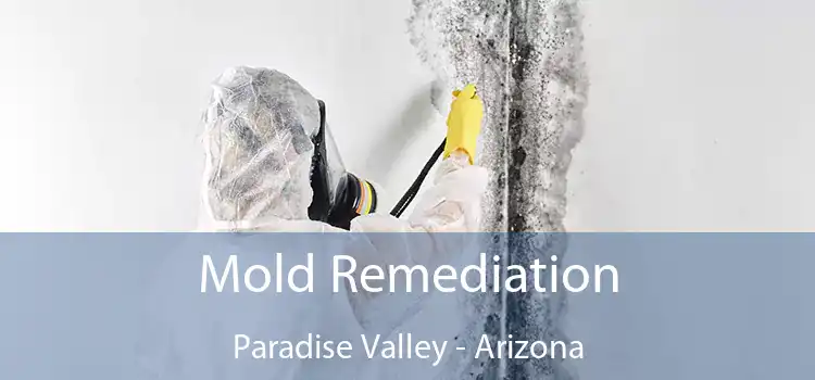 Mold Remediation Paradise Valley - Arizona