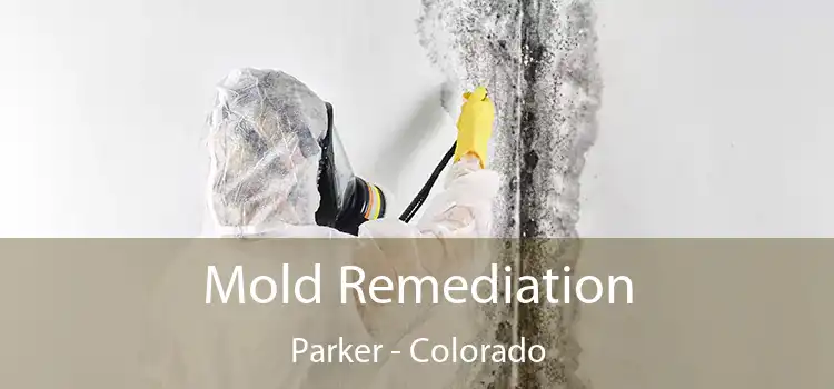 Mold Remediation Parker - Colorado