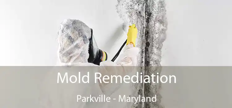 Mold Remediation Parkville - Maryland