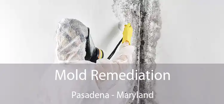 Mold Remediation Pasadena - Maryland