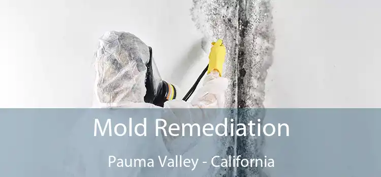 Mold Remediation Pauma Valley - California