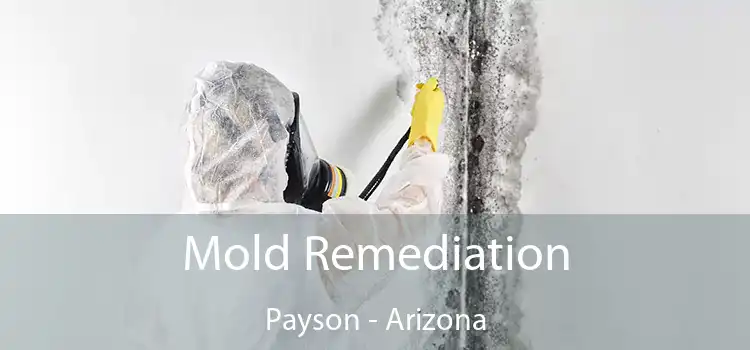 Mold Remediation Payson - Arizona