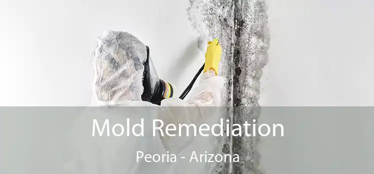 Mold Remediation Peoria - Arizona