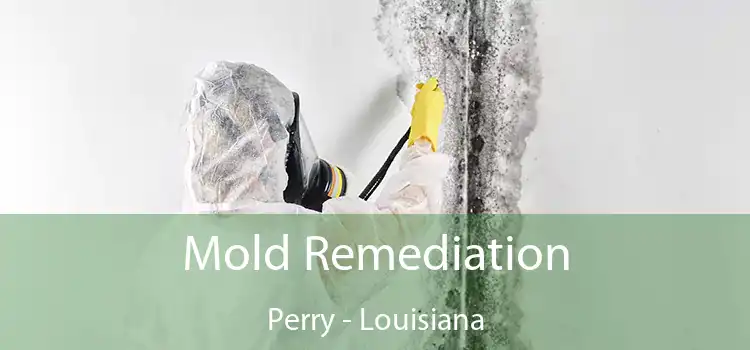 Mold Remediation Perry - Louisiana