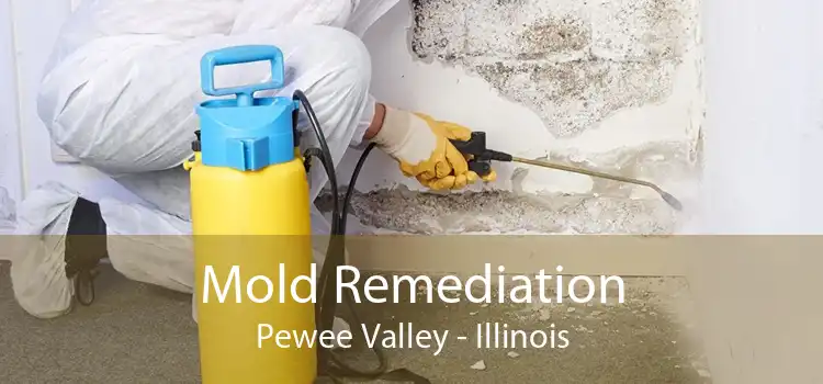 Mold Remediation Pewee Valley - Illinois