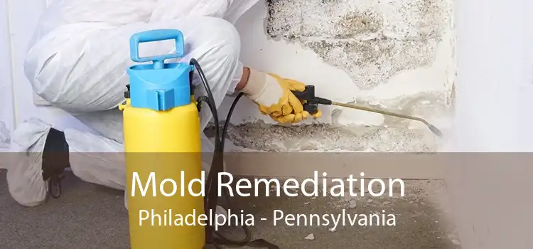 Mold Remediation Philadelphia - Pennsylvania