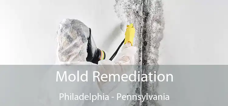 Mold Remediation Philadelphia - Pennsylvania