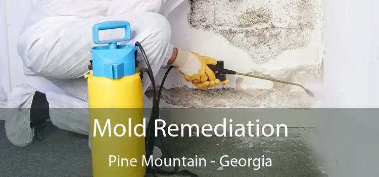 Mold Remediation Pine Mountain - Georgia