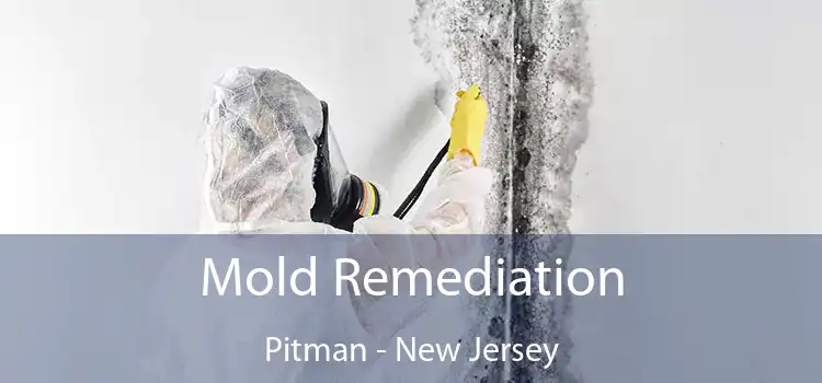 Mold Remediation Pitman - New Jersey