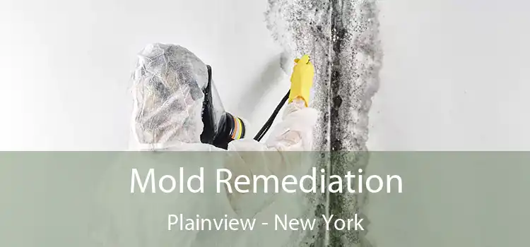 Mold Remediation Plainview - New York