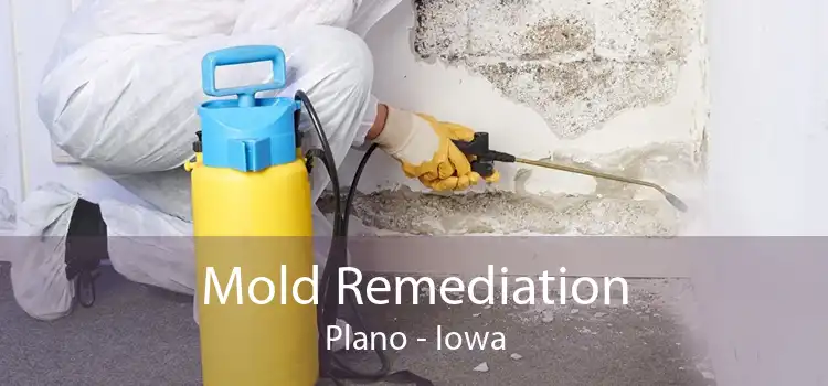 Mold Remediation Plano - Iowa